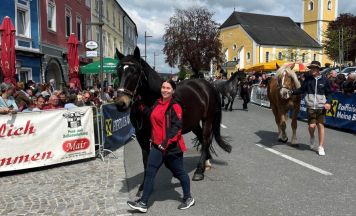 Pferdemarkt lockt auf den Waizenkirchner Marktplatz