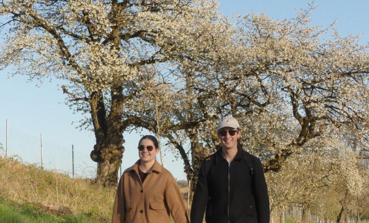 Die Obstbäume in Scharten stehen in voller Blüte. (Foto: Naturpark Obst-Hügel-Land)