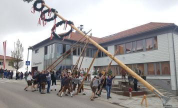 Der Linzer Maibaum kommt heuer aus St. Agatha