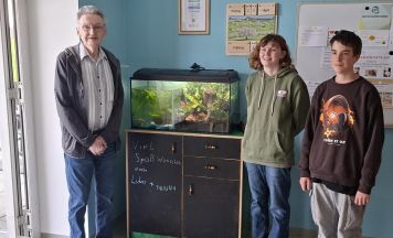 Schüler bauten Paludarium für Eferdinger Altenheim