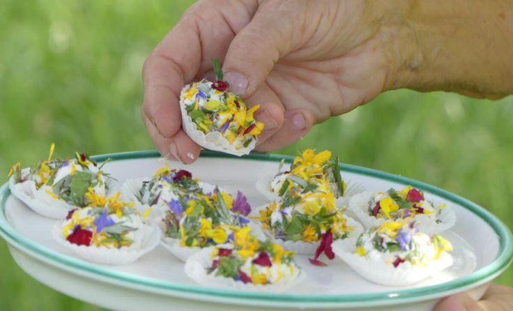 Essbare Wildkräuter im Obst-Hügel-Land entdecken (Foto: Naturpark Obst-Hügel-Land)