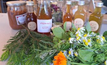 Kräuterkurs im Schartner Pfarrhof
