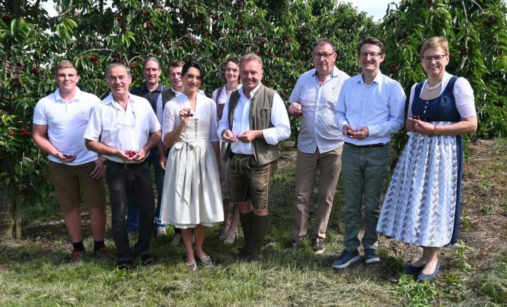 Schartner Obstbauern beim Saisonauftakt für Kirschen und Marillen (Foto: LK OÖ)