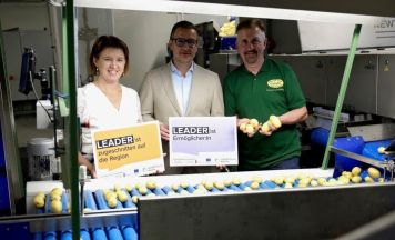 KI kontrolliert Erdäpfel im Eferdinger Land