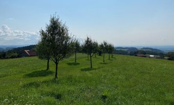 Spaziergang in Haibach für Menschen in Trauer