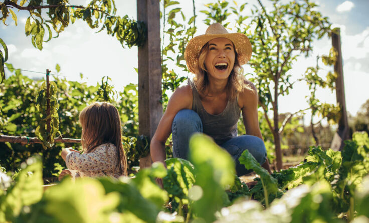 (Foto: adobeStock/Jacob Ammentorp Lund)