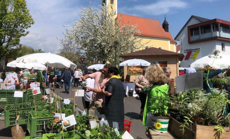  (Foto: Grüne Katsdorf)