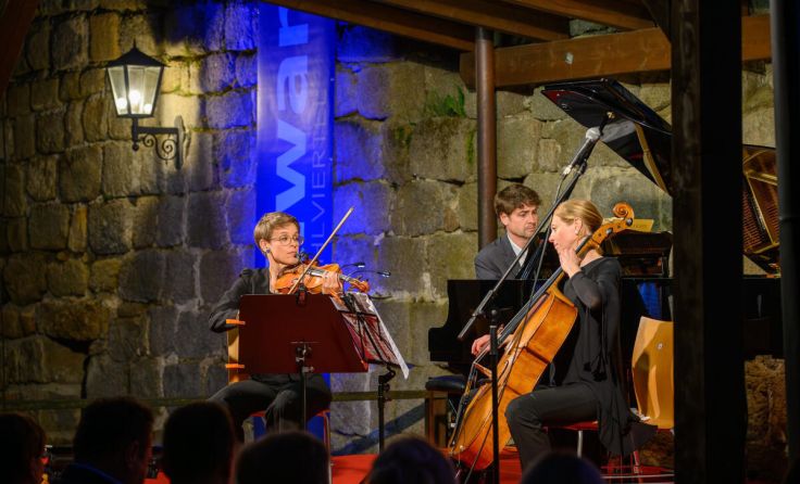 Das Trio KIREI verzauberte die Gäste mit ihrer Kunst. (Foto: Manfred Astleitner)