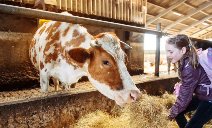 Die Kinder können Bauernhoftieren ganz nah sein. (Foto: 2xsamara.com)