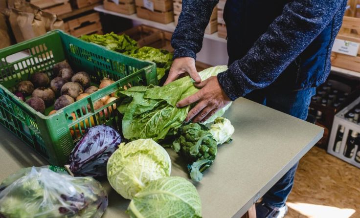 Regionale Lebensmittel werden immer beliebter. (Foto: Sophie Salfinger)