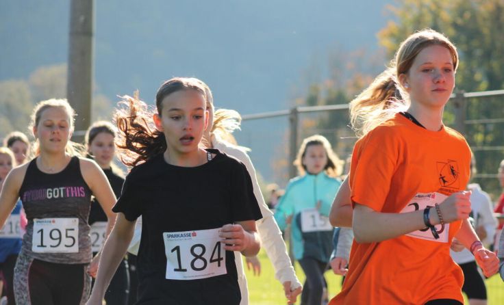  (Foto: IT-Mittelschule Grein)