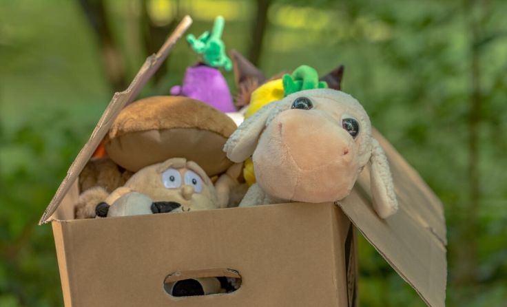 Auch Stofftiere finden ein neues Zuhause. (Foto: adobeStock/ andre)