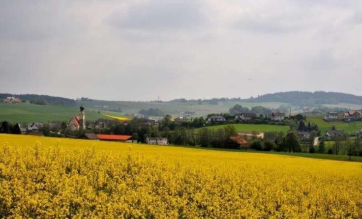  (Foto: Leopold Dachs)