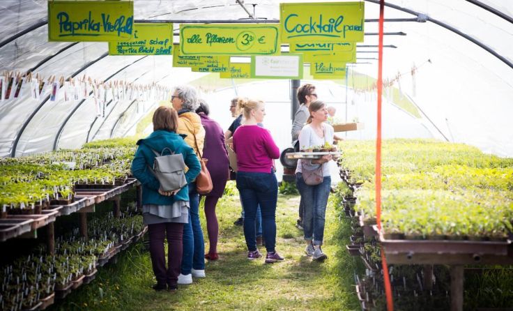 Beim Jungpflanzen-Fest ab 21. April sind Hobbygärtner herzlich willkommen. (Foto: Biohof Fairleben)