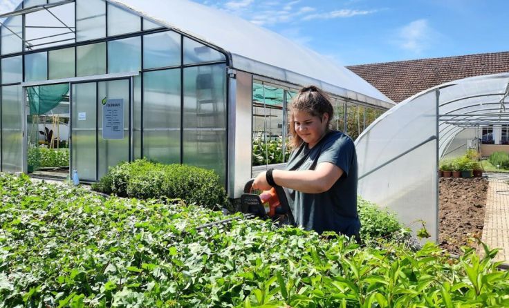 Pflanzenpflege an der Gartenbauschule Ritzlhof (Foto: GBS Ritzlhof)