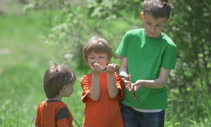 Symbolbild: MEDIAIMAG/stock.adobe.com