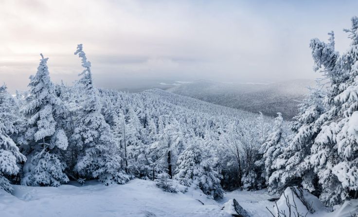 Symbolbild: David/stock.adobe.com