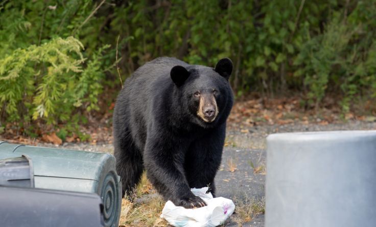 Symbolbild: Eleanor/stock.adobe.com