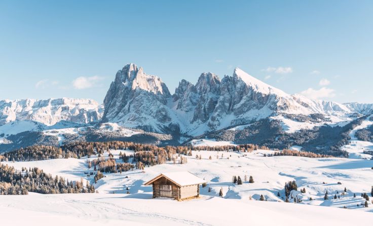 Symbolbild: FranTc/stock.adobe.com