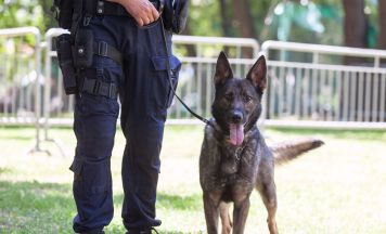 Schon wieder Frau vermisst: Wo ist Isabella (25) aus Wien?