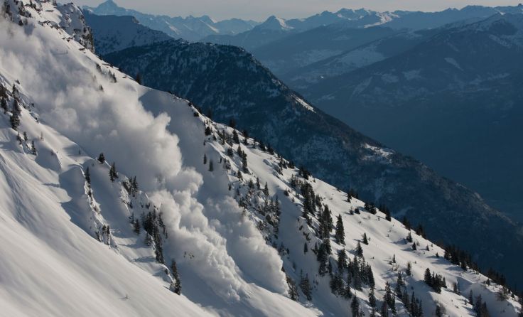 Symbolbild: jancsi hadik/stock.adobe.com