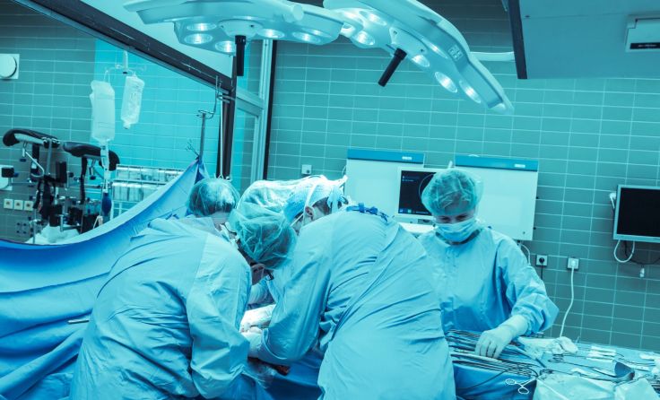 Symbolbild: vizualni/stock.adobe.com