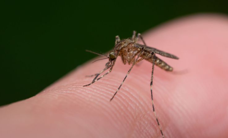 Symbolbild: fotomarekka/stock.adobe.com