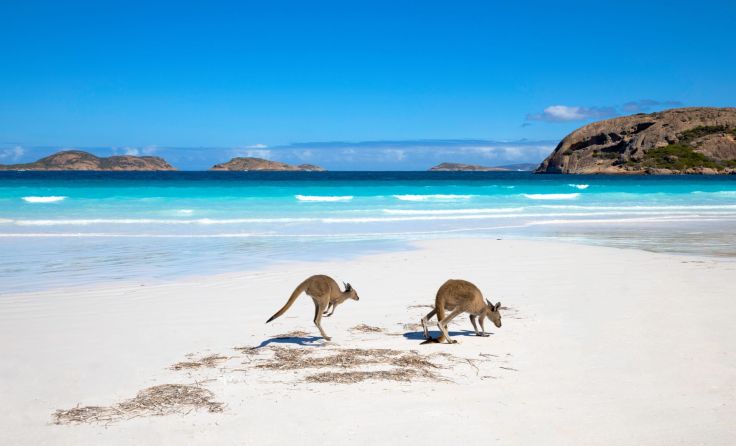 Symbolbild: Hideaki/stock.adobe.com