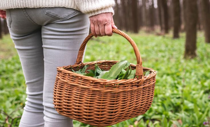 Symbolbild: encierro/stock.adobe.com