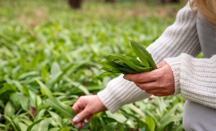 Symbolbild: encierro/stock.adobe.com