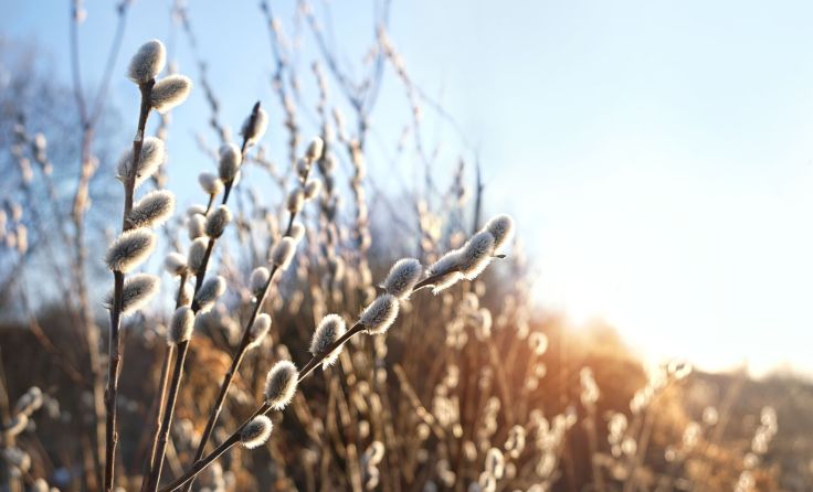 Symbolbild. Ju_see/stock.adobe.com