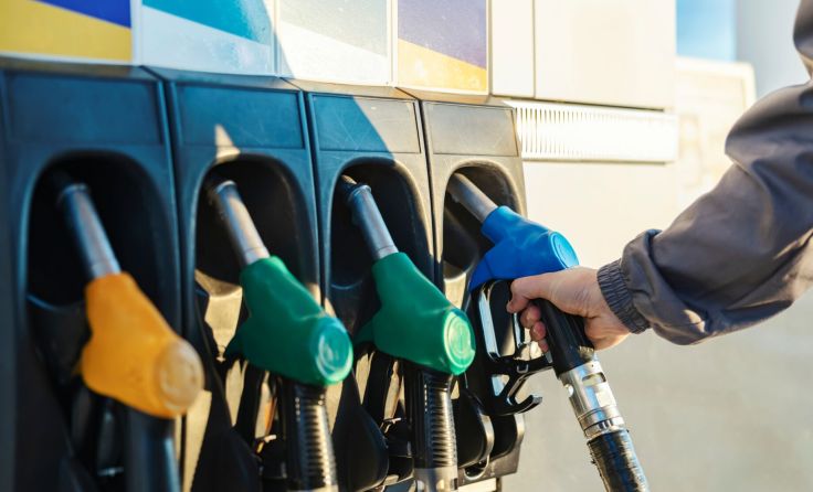 Symbolbild: Dusan Petkovic/stock.adobe.com