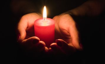 Tragödie in Niederösterreich: Mann (62) tot in Bach entdeckt