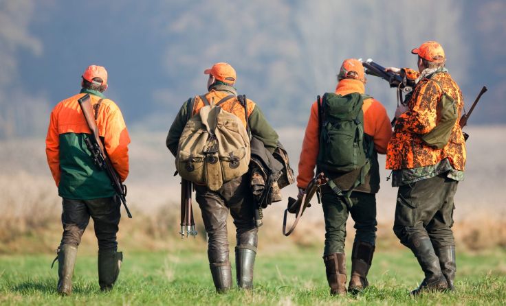 Symbolbild: Bergringfoto/stock.adobe.com