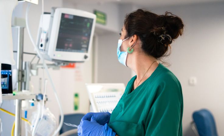 Symbolbild: Carmen/stock.adobe.com