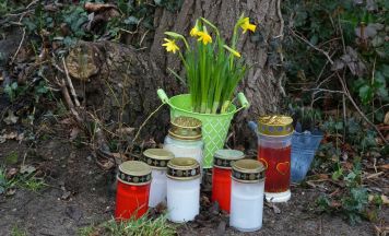 Tragödie in Niederösterreich: Mann (53) stirbt bei Kreuzung im Bezirk Tulln