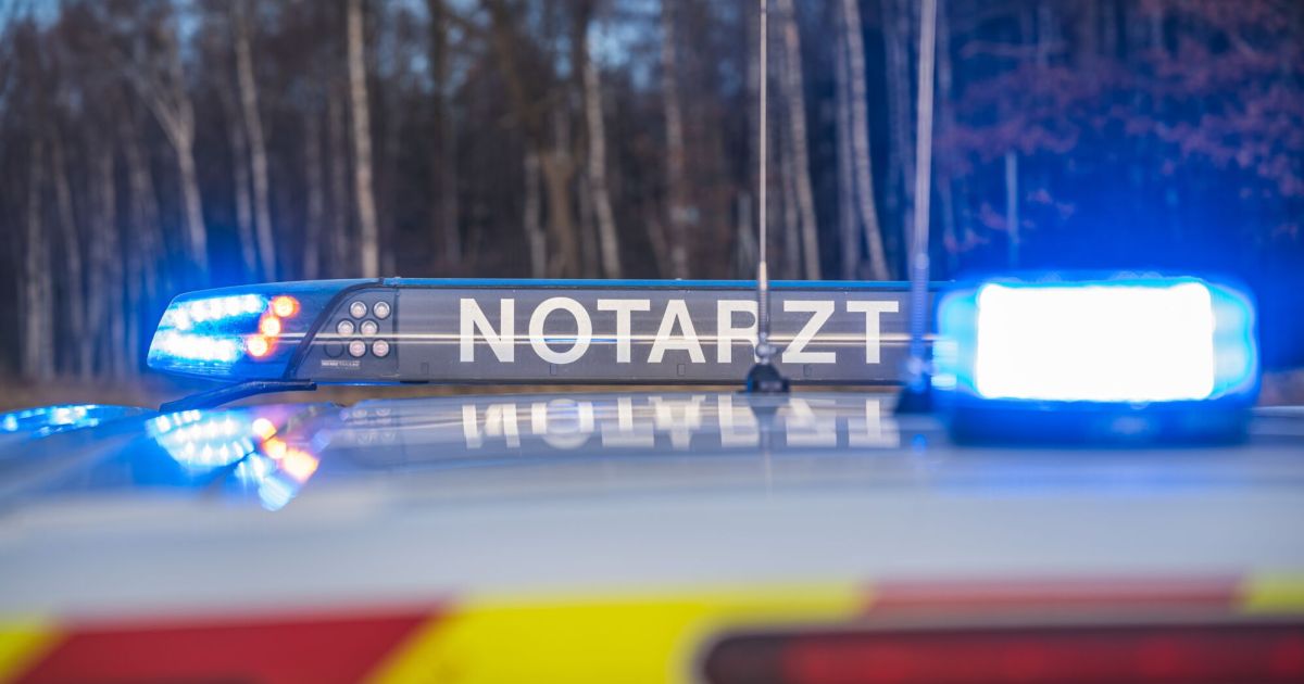 Tragedy in Styria: Young man (22) dies after serious fall