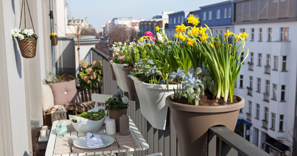 Balcony suddenly collapses: Woman dies after four-meter fall