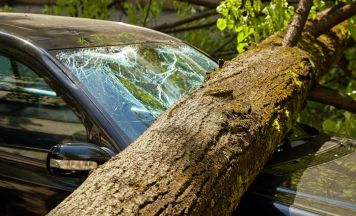Tragödie in Niederösterreich: Mann (98) stirbt bei Unfall