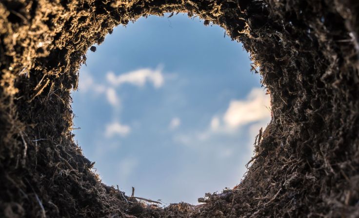 Symbolbild: Ralf Geithe/stock.adobe.com