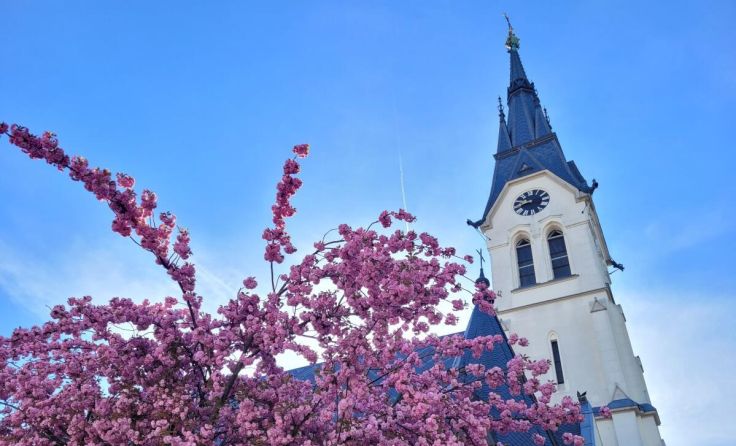  (Foto: Pfarrgemeinde Traun)