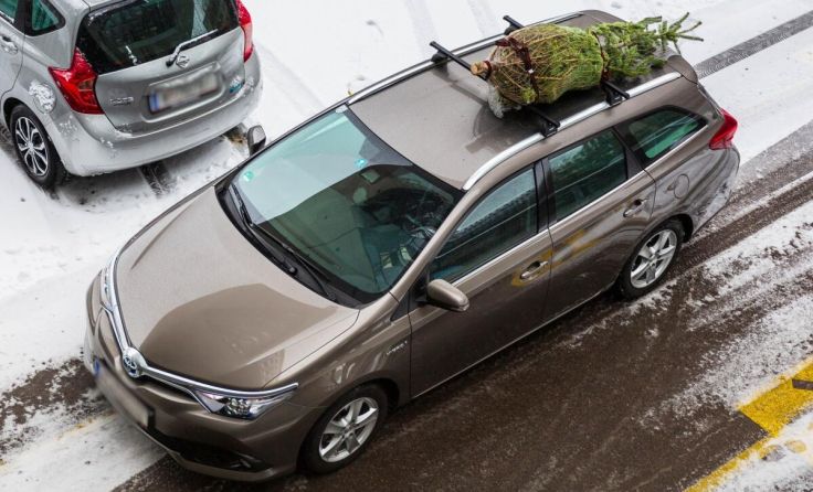 Beim Transport der Christbäume gibt es ein paar Punkte zu beachten. (Foto: OEAMTC)