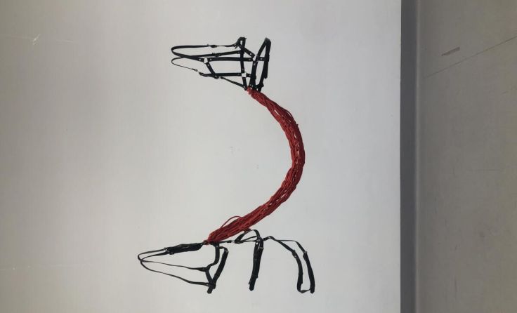 Ein Kunstprojekt von Joana Dirnberger. (Foto: Kunst und Gestaltung der Kunstuniversität Linz)