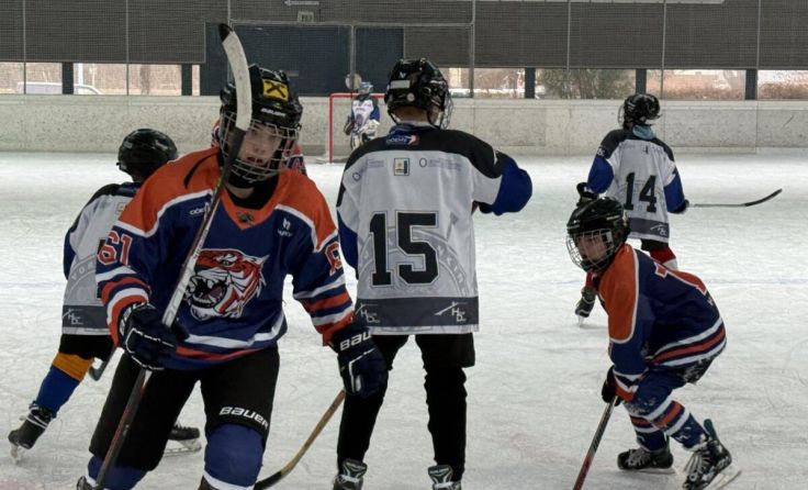 Die Teams lieferten sich spannende Matches. (Foto: Ice Tigers)