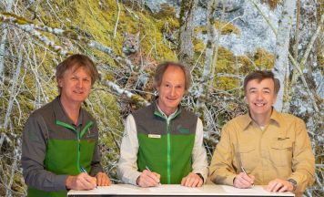 Schutzgebiete fordern Maßnahmen zum Erhalt des Luchses