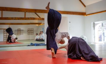 Aikido-Elite trainierte in Kremsmünster