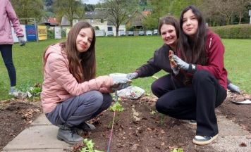 Kreativ-Musikmittelschule Kirchdorf startet Projekt Ackerdemie