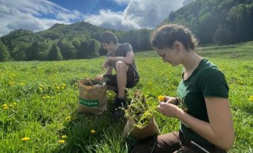 Schulprojekt in Schlierbach rückt Almwirtschaft in den Fokus