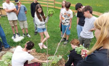 Schulprojekt GemüseAckerdemie an der Kreativ-Musikmittelschule Kirchdorf trägt erste Früchte