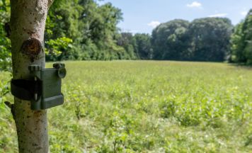 Nationalpark Kalkalpen setzt auf Künstliche Intelligenz für Vogelmonitoring